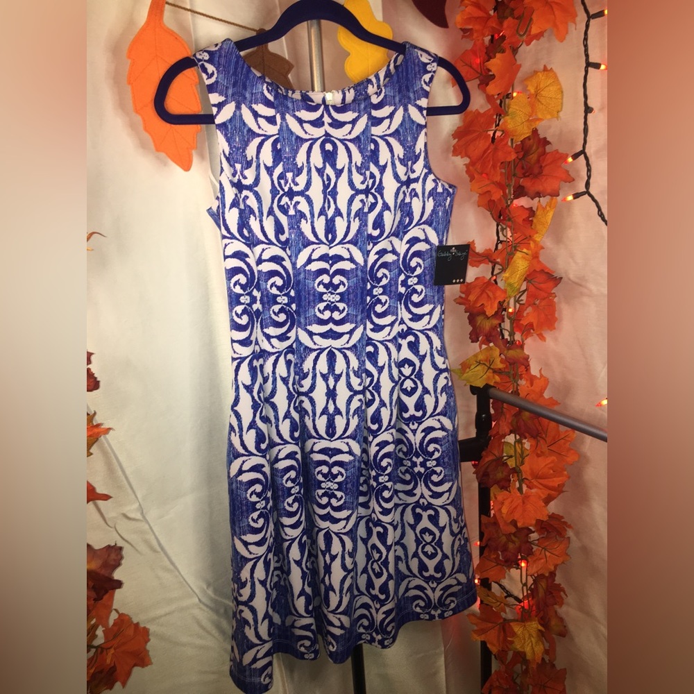NWT Gabby Skye | Women’s Blue/White Paisley Print Sleeveless Dress